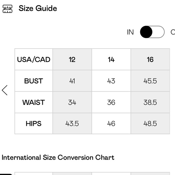 Nasty Gal Devore Oversized Sheer Floral Shirt - Picture 5 of 5